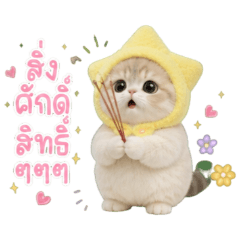 เหมียวดาวน้อย : สิ่งศักดิ์สิทธิ์ๆๆๆ