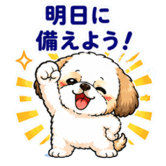 Adorable Shih Tzu on Sunday Stickers