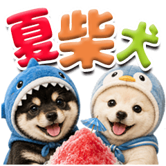 Pop-Out Shiba Summer