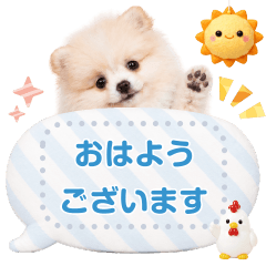 癒しポメラニアンのメッセージボード