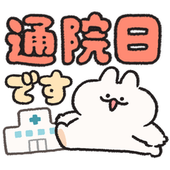 病院・通院連絡　うさぎときどきにんじん