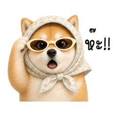 Headscarf Shiba TH