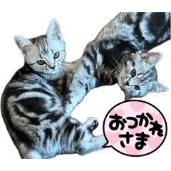 ろき＆えみりあ
