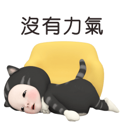 貓毛巾 日常好用篇 2