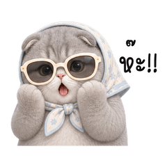 Gray Scarf Cat Close Up TH