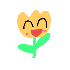 colorful tulip