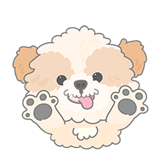 Daily Didi