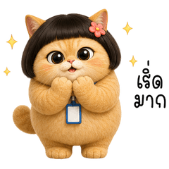Chubby Bangs Cat Daily Mood