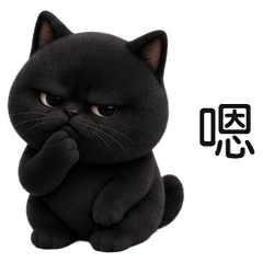 Cute Chubby Black Cat (TWN)