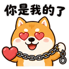 Shiba Inu DailyLife
