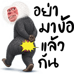 Hilarious Animals Ver.3