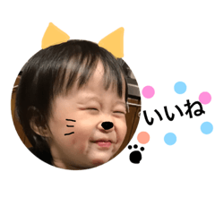 Risu.life.