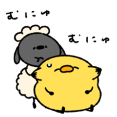Sheep quarrel brawl