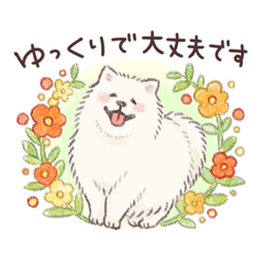 優しいもふもふサモエドさん