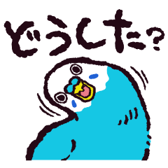 セキセイインコです.