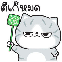Munkaew little cat V.83