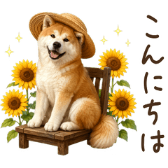 【夏】 毎年使える！秋田犬