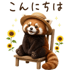 【夏】 毎年使える！レッサーパンダ