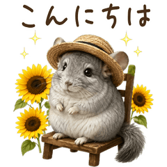 【夏】 毎年使える！チンチラ