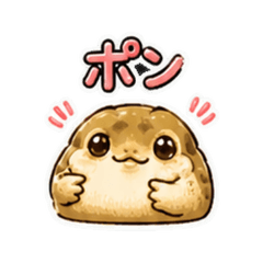 A frog that pops into the conversati VK6