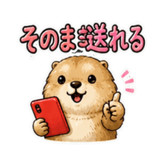 Marmot that can be sent as is DMM