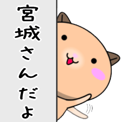 【宮城さんが使う】専用苗字スタンプ