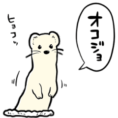 しゃべるオコジョ