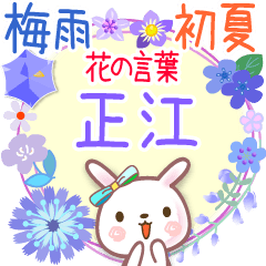 花の言葉◆梅雨&初夏●正江