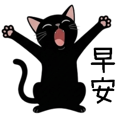 Black Ma Ma Meow Elegant Action 3 Daily