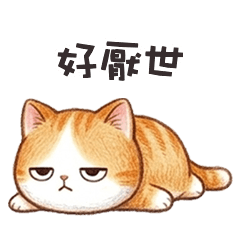 cute cats adorable1