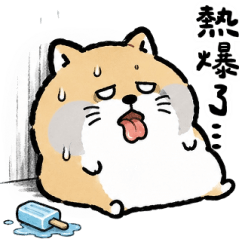 小さな狐の蛋餅