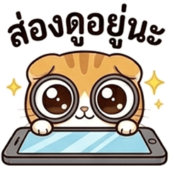 Nong Refill: Cute & Cozy Orange Cat 5