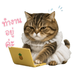 น้องเหมียวเมด : ทำงานอยู่ค่ะ