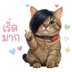 น้องเหมียวปัดข้าง : เริ่ดมาก