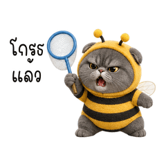 Grumpy Bee Folded Cat TH