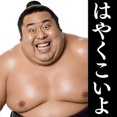 ⚫毎日使えるデブ相撲力士【面白い・ウザい