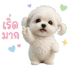 ❤️น้องมิลค์กี้ : เริ่ดมาก❤️