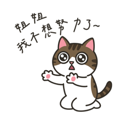 94這隻貓｜日常碎念版
