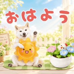 元気に飛び出す☆癒ししばいぬ