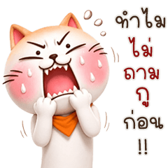 Boom Boom Cat. 2