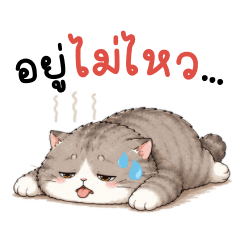 เหมียว : วันทำงาน