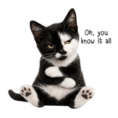 Split-Face Tuxedo Kitten (EN)