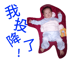 Children's dog