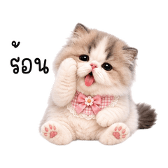 Pink-Bow Tongue-Out Kitten