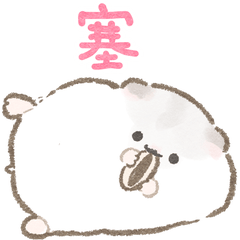 Quiet Little Hamster (TC)
