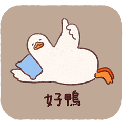 Daily Duck's Life