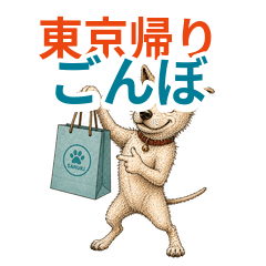 讃岐犬ごんぼ 東京一人旅