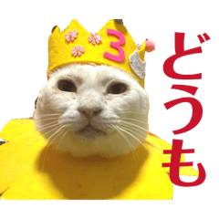nekokamasu_20260710161920