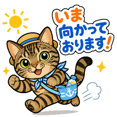 Polite Hot Summer Cat