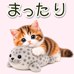 ふわふわ三毛子猫のほっこり夏